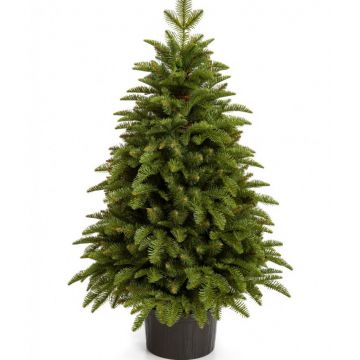 Brad Artificial Nobiles in Ghiveci 100 cm