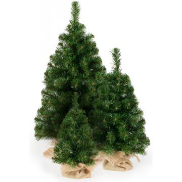 Brad artificial de Craciun Rafi 55 cm