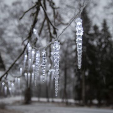 Ghirlandă luminoasă număr becuri 40 buc. cu alimentare la priză lungime 600 cm Gelido – Star Trading